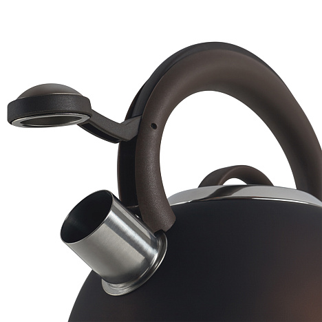 Чайник со свистком Polaris Etna-3L - фото №1