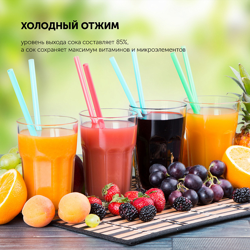 Соковыжималка шнековая Polaris PSJ 0601 - rich_content №1